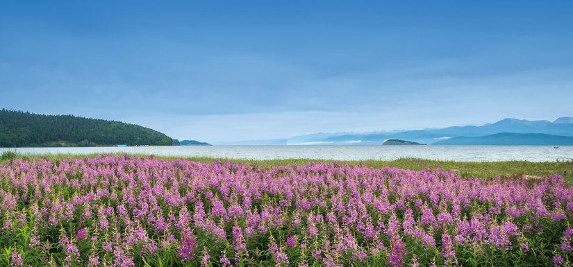 Trans-Siberian-Railway